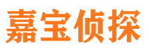 长海调查公司